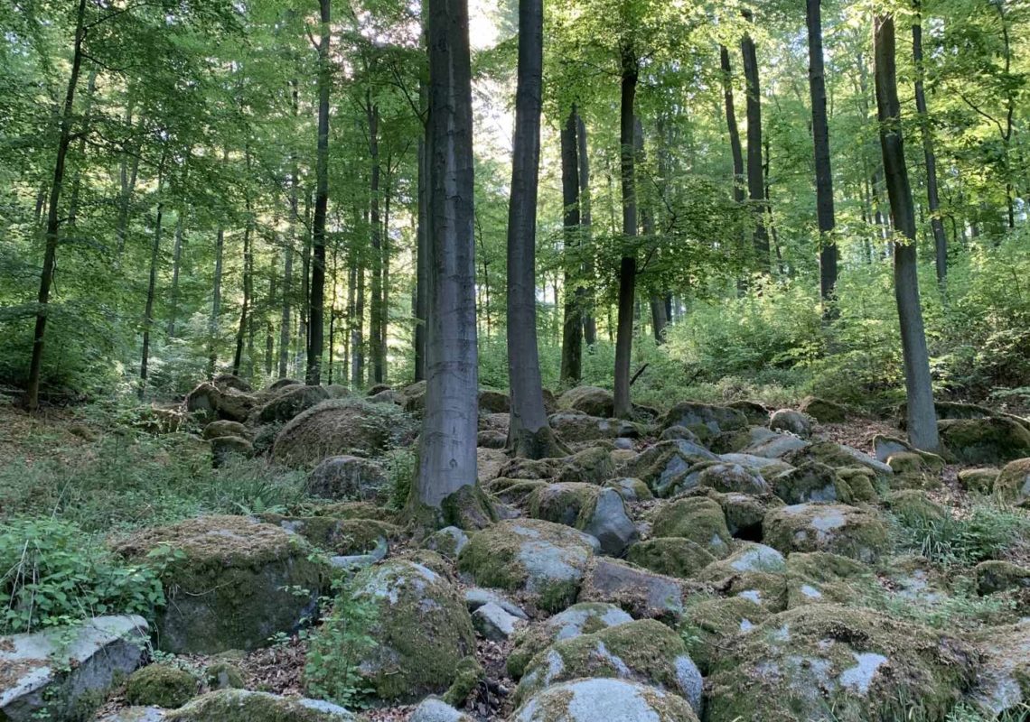 Ferienpark Hesselhof - Ferienwohnungen und Wellnessanlage in Rimbach, Odenwald (Foto 24)