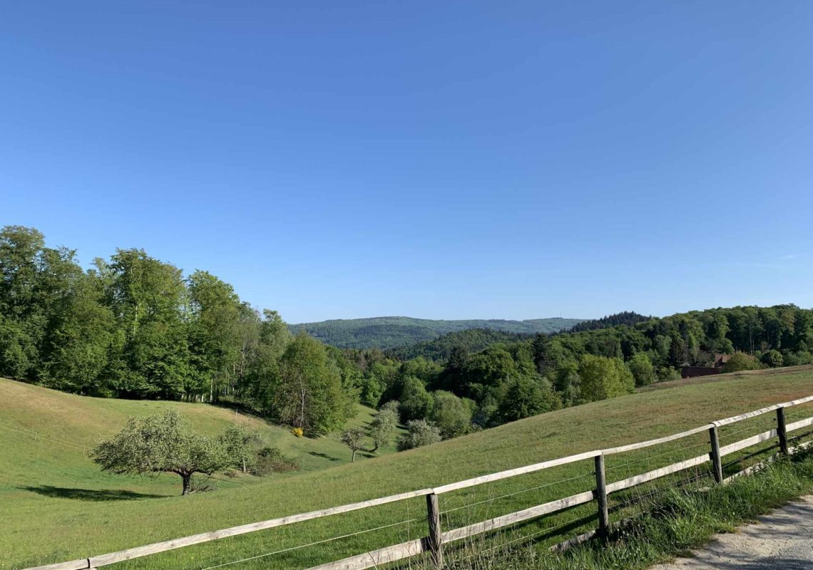 Ferienpark Hesselhof - Ferienwohnungen und Wellnessanlage in Rimbach, Odenwald (Foto 29)