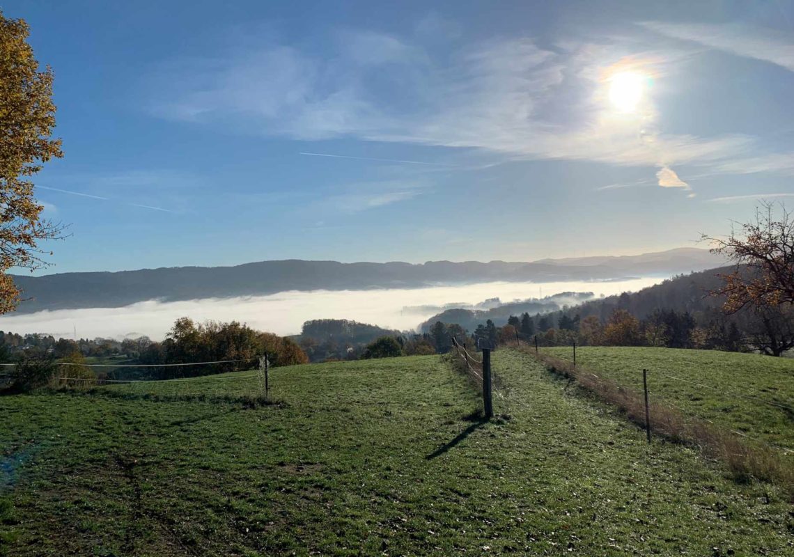 Ferienpark Hesselhof - Ferienwohnungen und Wellnessanlage in Rimbach, Odenwald (Foto 34)