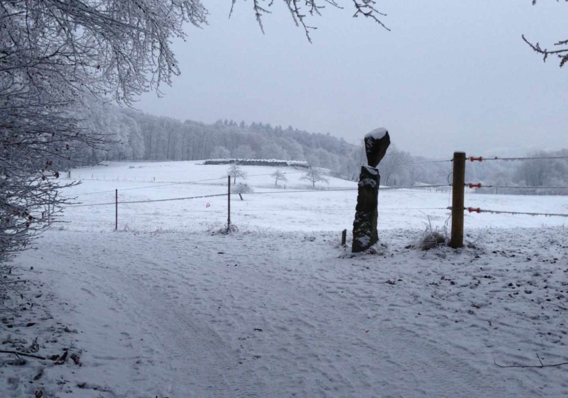 Ferienpark Hesselhof - Ferienwohnungen und Wellnessanlage in Rimbach, Odenwald (Foto 36)